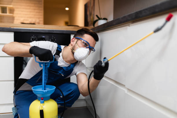Pest Prevention Services in Port Dickinson, NY