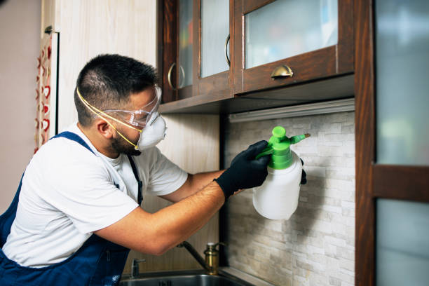 Best Rat Extermination Near Me  in Port Dickinson, NY