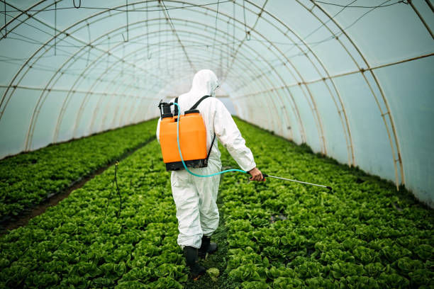 Best Emergency Pest Control  in Port Dickinson, NY