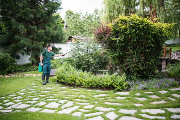 Best Ant Control Services  in Port Dickinson, NY