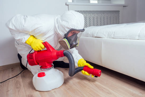 Best Exterminator Services  in Port Dickinson, NY