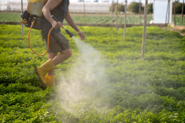 Best Residential Pest Control  in Port Dickinson, NY
