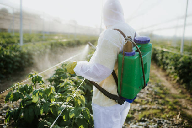 Best Flea Control Services  in Port Dickinson, NY